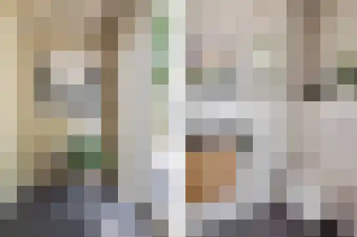 Koemeerskuil 20 Wintelre thumbnail 23