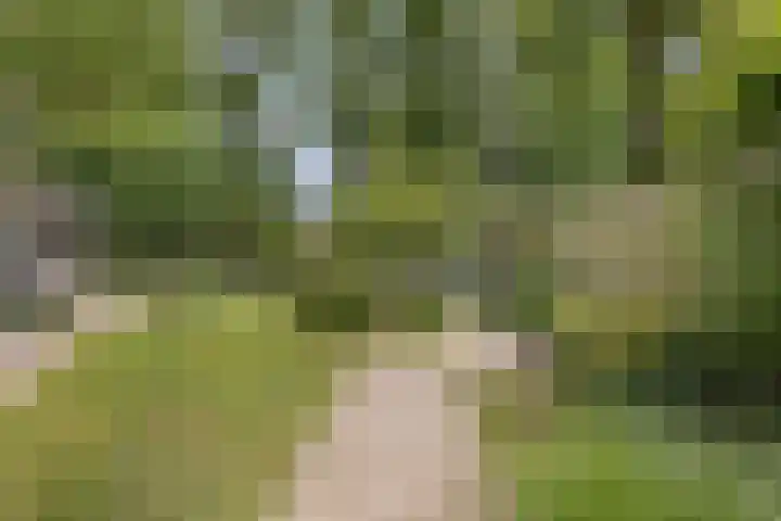 Koemeerskuil 20 Wintelre thumbnail 24