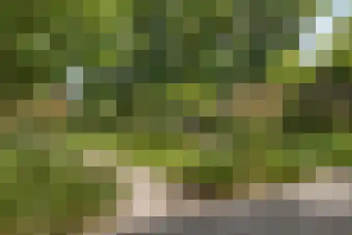 Koemeerskuil 20 Wintelre thumbnail 25