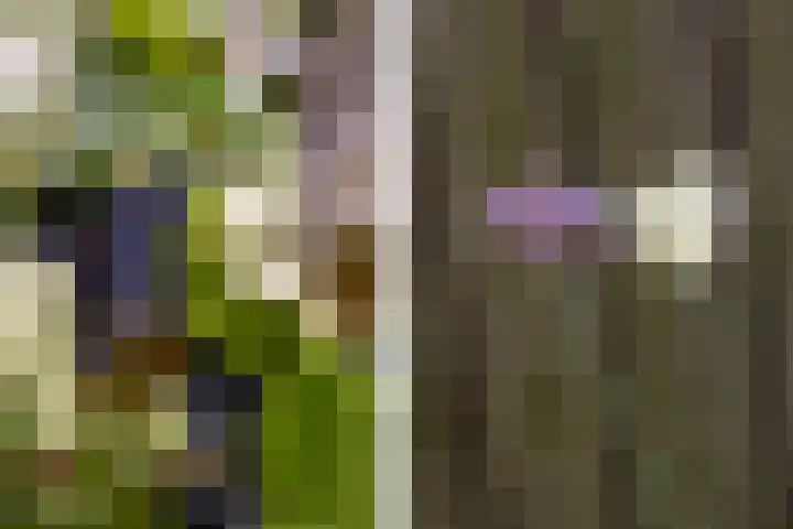 Koemeerskuil 20 Wintelre thumbnail 26