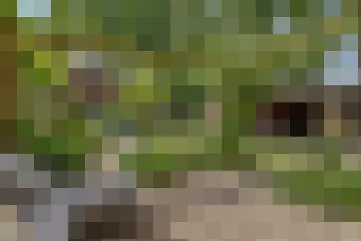 Koemeerskuil 20 Wintelre thumbnail 27