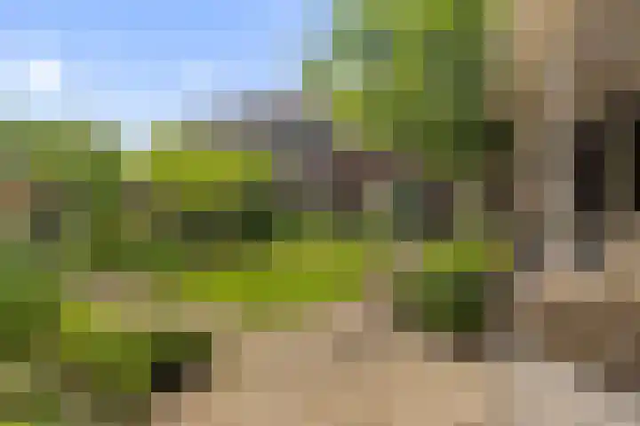 Koemeerskuil 20 Wintelre thumbnail 28
