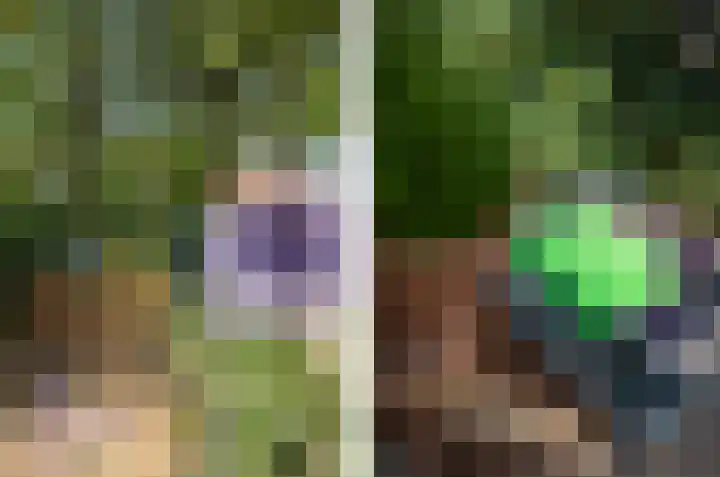 Koemeerskuil 20 Wintelre thumbnail 29