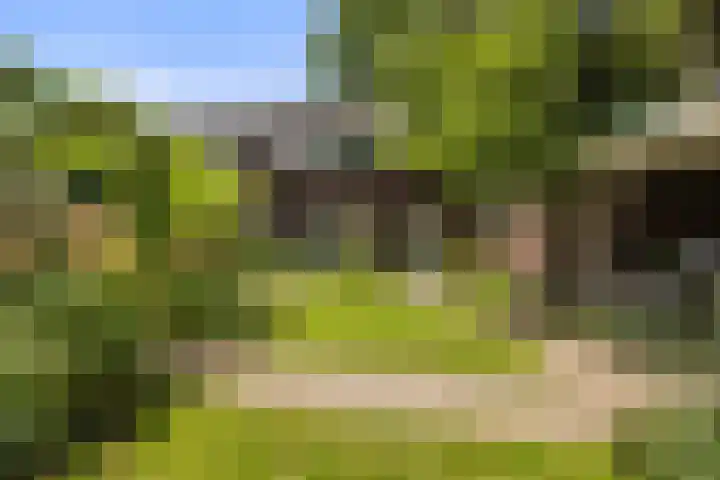 Koemeerskuil 20 Wintelre thumbnail 30