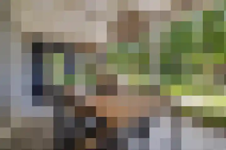 Koemeerskuil 20 Wintelre thumbnail 32