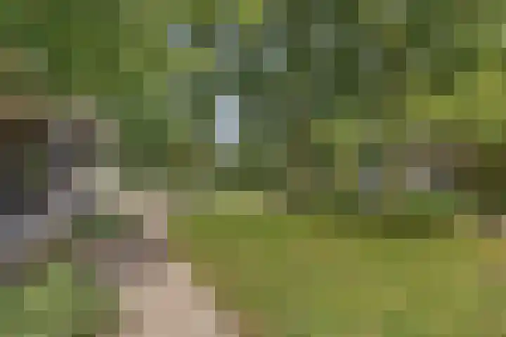 Koemeerskuil 20 Wintelre thumbnail 31
