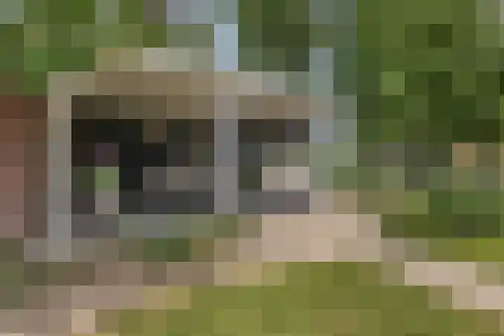 Koemeerskuil 20 Wintelre thumbnail 32