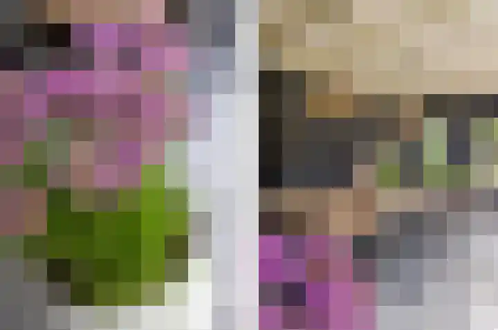 Koemeerskuil 20 Wintelre thumbnail 33