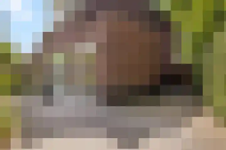Koemeerskuil 20 Wintelre thumbnail 35