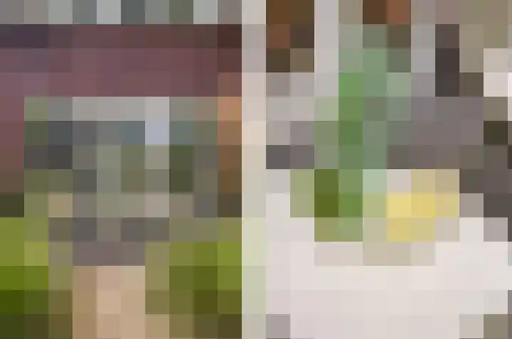 Koemeerskuil 20 Wintelre thumbnail 36