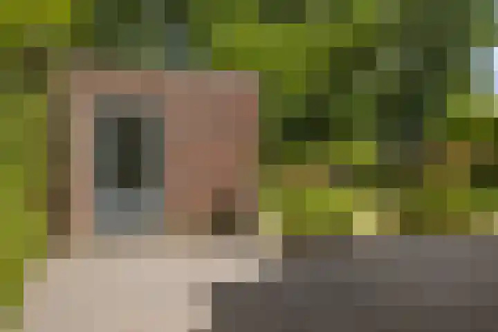 Koemeerskuil 20 Wintelre thumbnail 37