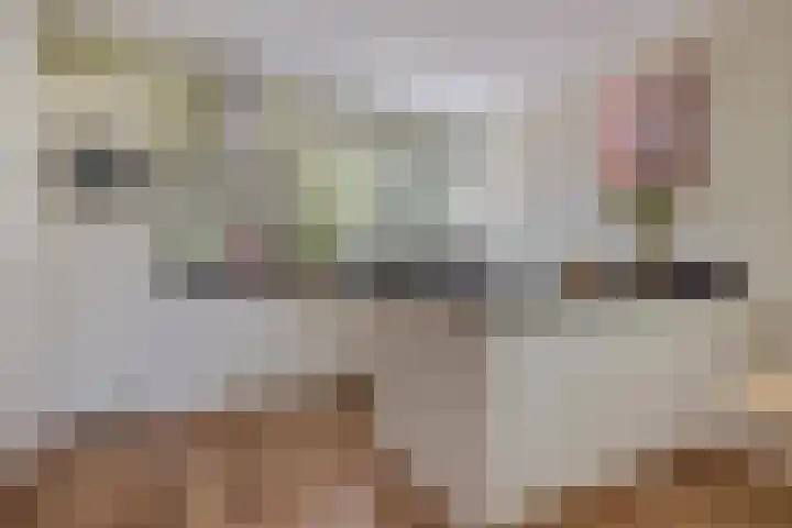 Koemeerskuil 20 Wintelre thumbnail 4