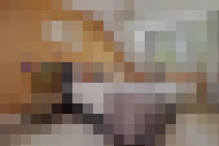 Koemeerskuil 20 Wintelre thumbnail 40