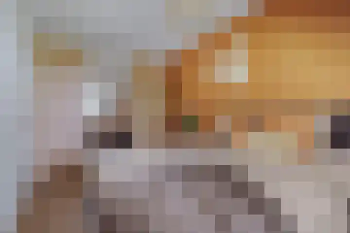 Koemeerskuil 20 Wintelre thumbnail 41
