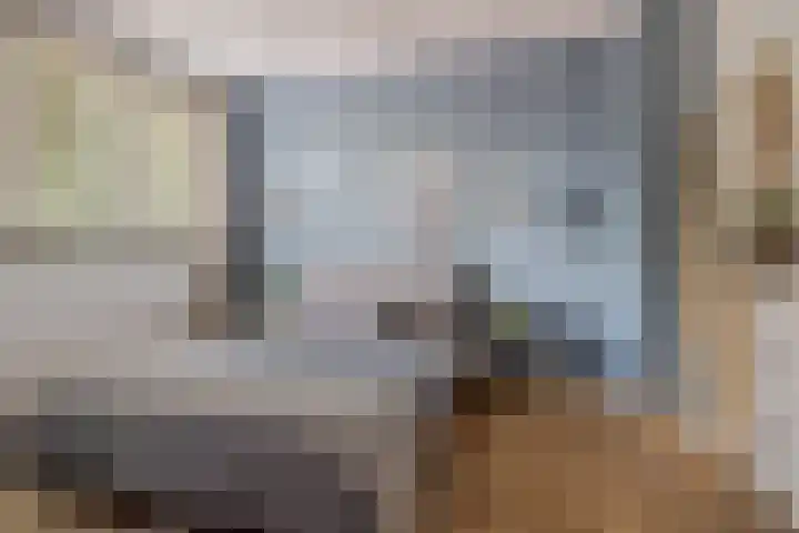 Koemeerskuil 20 Wintelre thumbnail 42