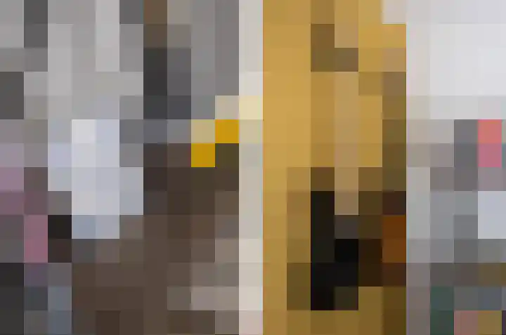 Koemeerskuil 20 Wintelre thumbnail 45