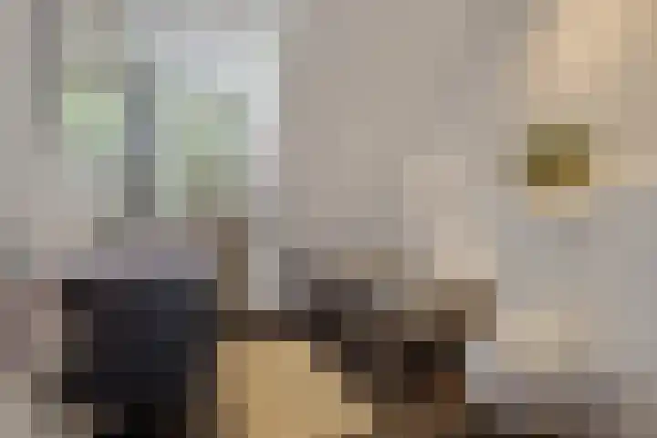 Koemeerskuil 20 Wintelre thumbnail 46