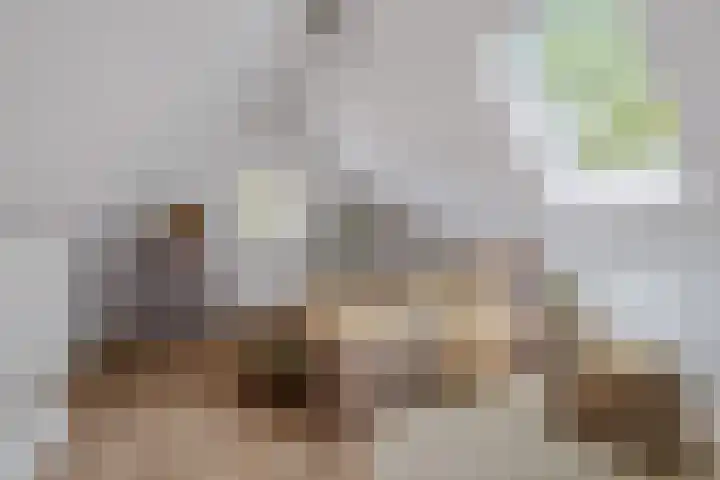 Koemeerskuil 20 Wintelre thumbnail 49