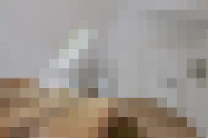 Koemeerskuil 20 Wintelre thumbnail 51