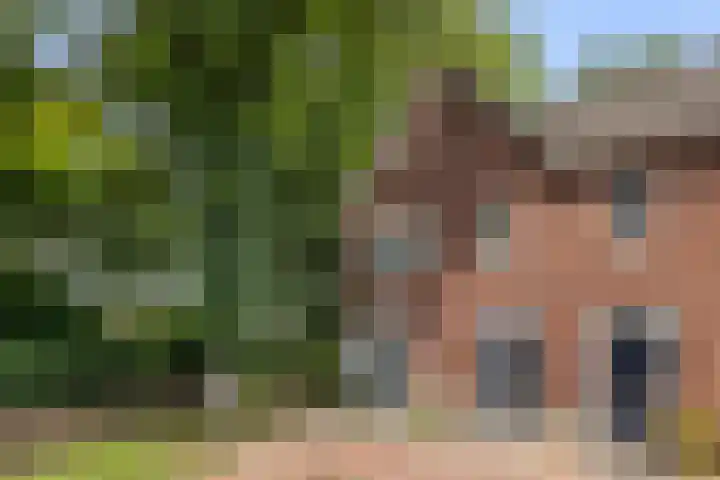 Koemeerskuil 20 Wintelre thumbnail 52