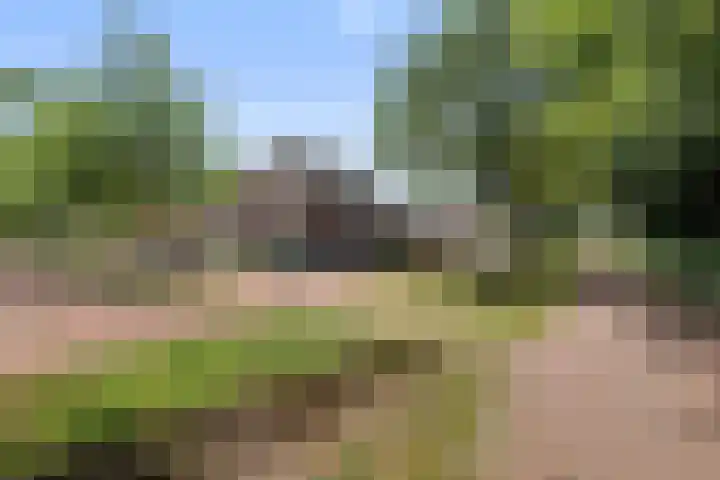 Koemeerskuil 20 Wintelre thumbnail 53
