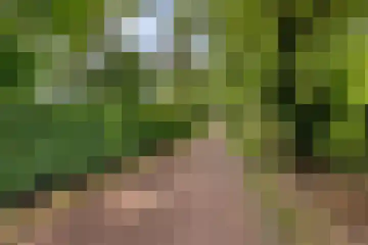 Koemeerskuil 20 Wintelre thumbnail 54