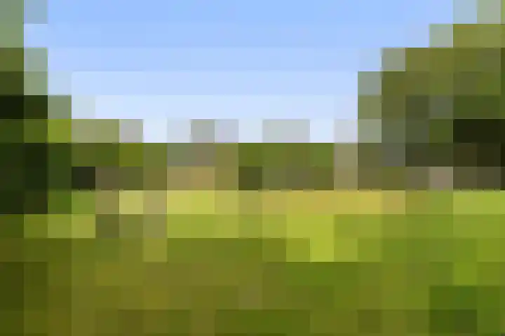 Koemeerskuil 20 Wintelre thumbnail 55