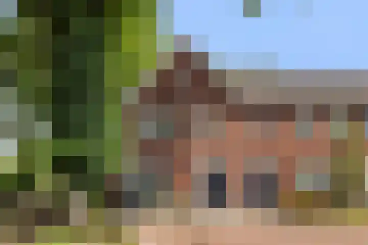 Koemeerskuil 20 Wintelre thumbnail 60