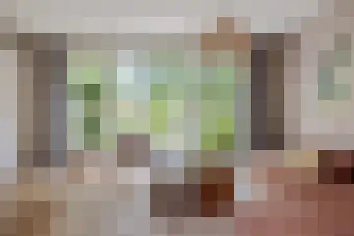 Koemeerskuil 20 Wintelre thumbnail 9