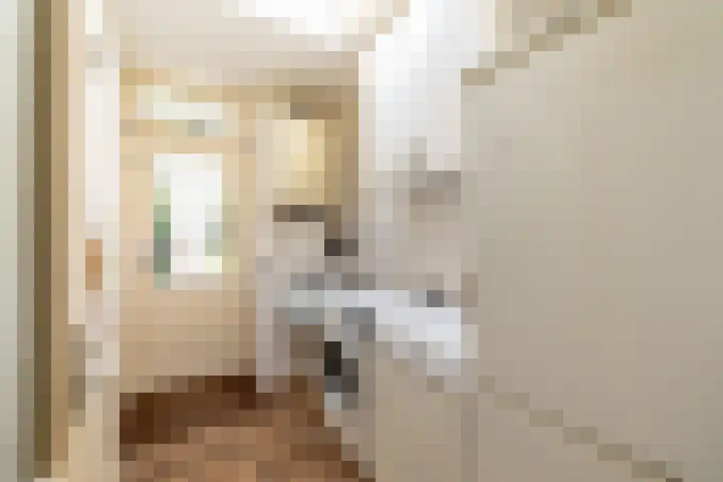 Koen Rozendaalstraat 3 Middenbeemster thumbnail 17