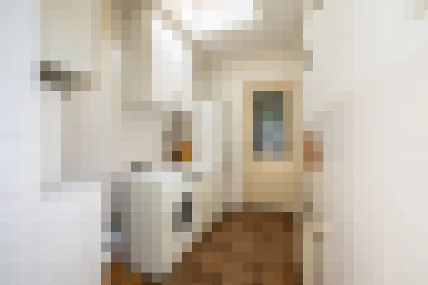 Koen Rozendaalstraat 3 Middenbeemster thumbnail 18