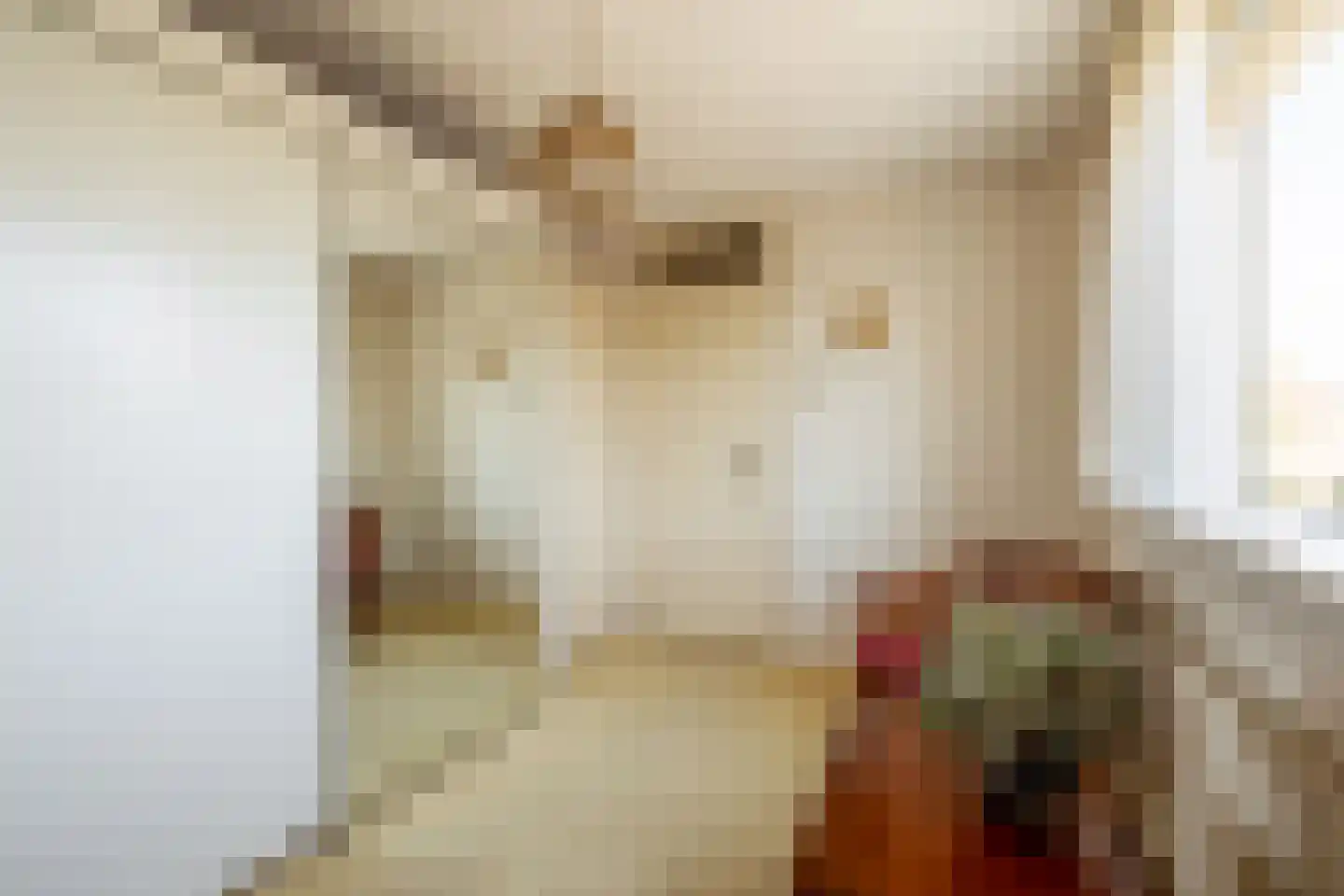 Koen Rozendaalstraat 3 Middenbeemster thumbnail 23