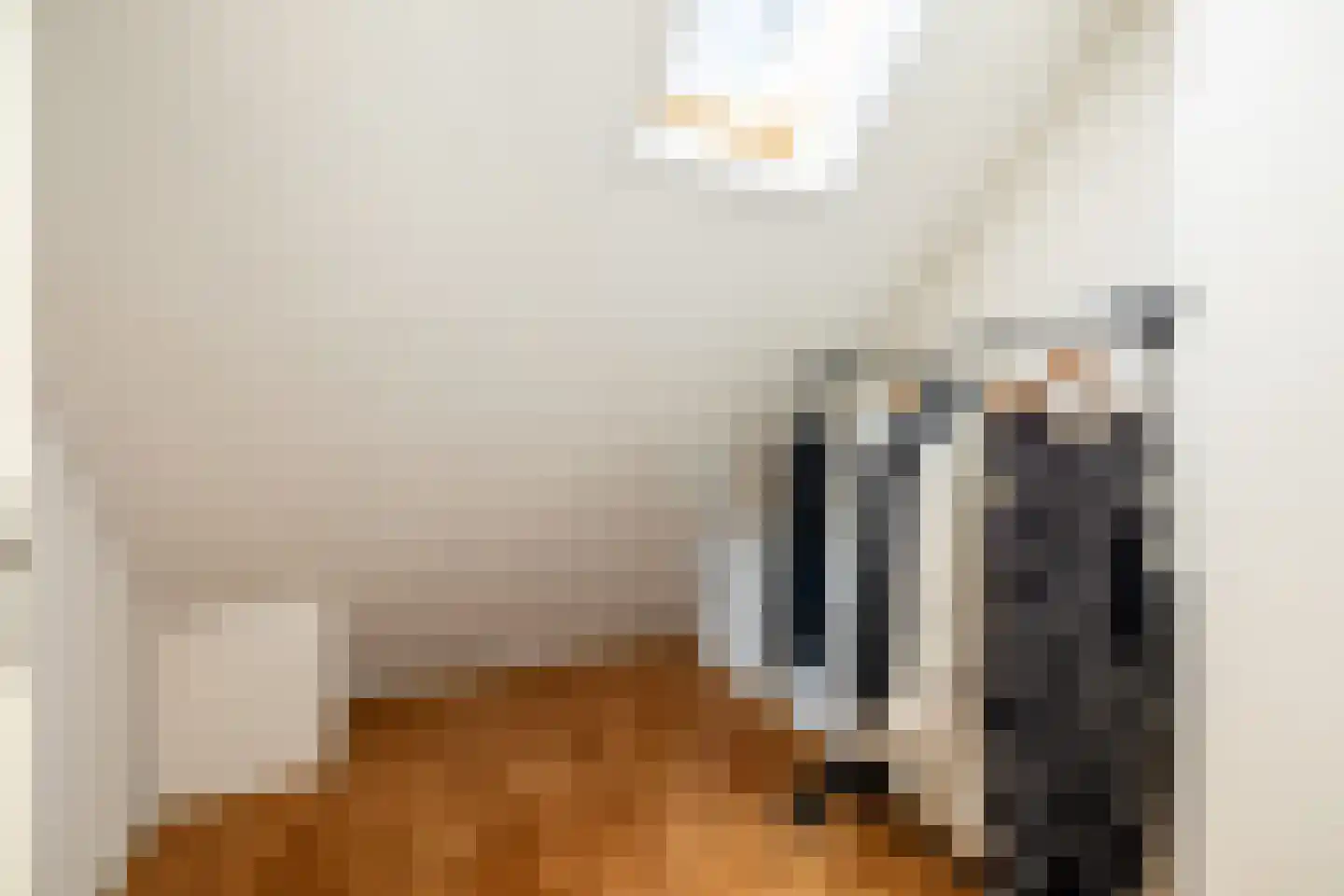 Koen Rozendaalstraat 3 Middenbeemster thumbnail 28