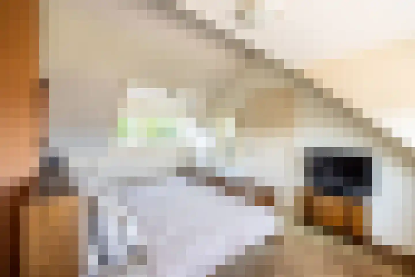 Koen Rozendaalstraat 3 Middenbeemster thumbnail 30
