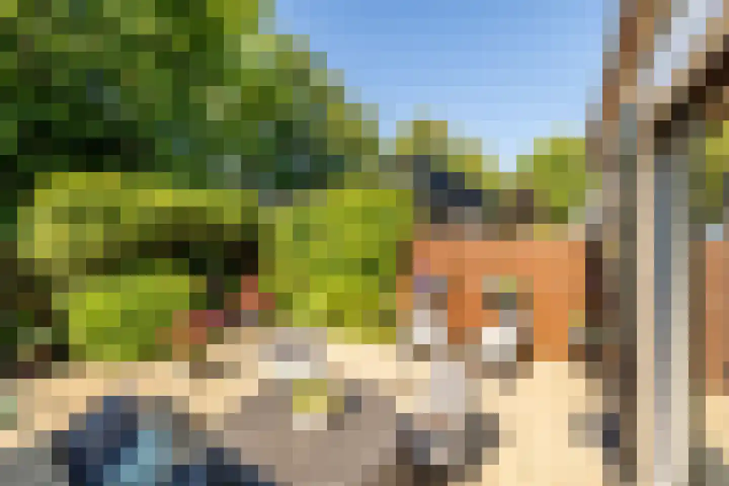 Koen Rozendaalstraat 3 Middenbeemster thumbnail 32