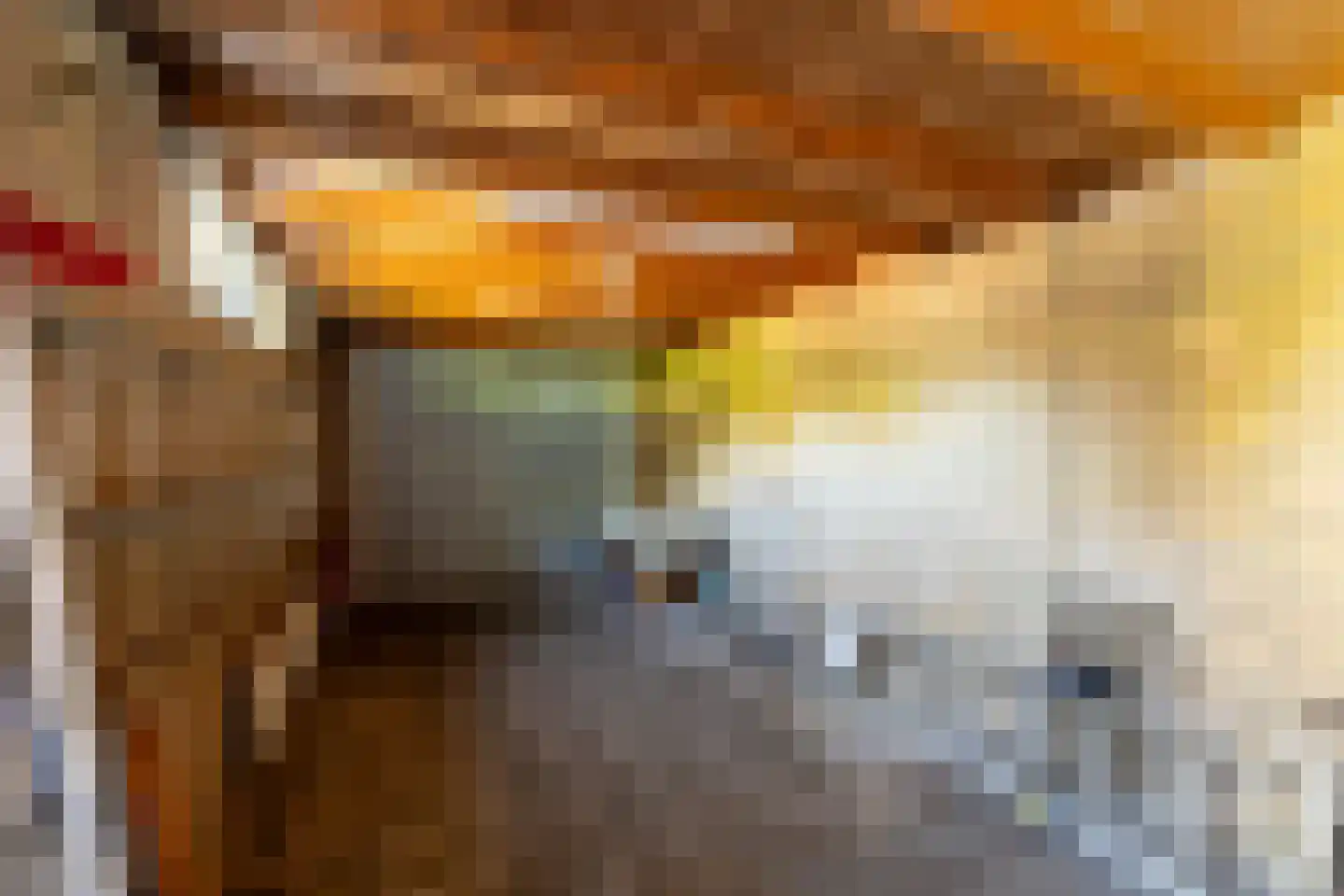 Koen Rozendaalstraat 3 Middenbeemster thumbnail 35