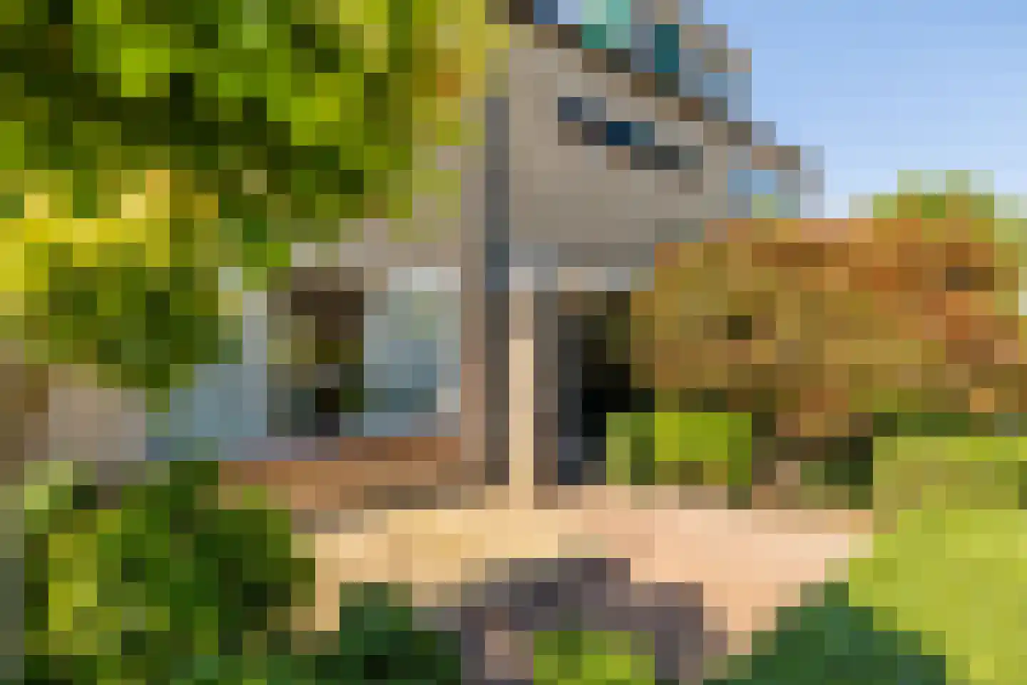 Koen Rozendaalstraat 3 Middenbeemster thumbnail 38