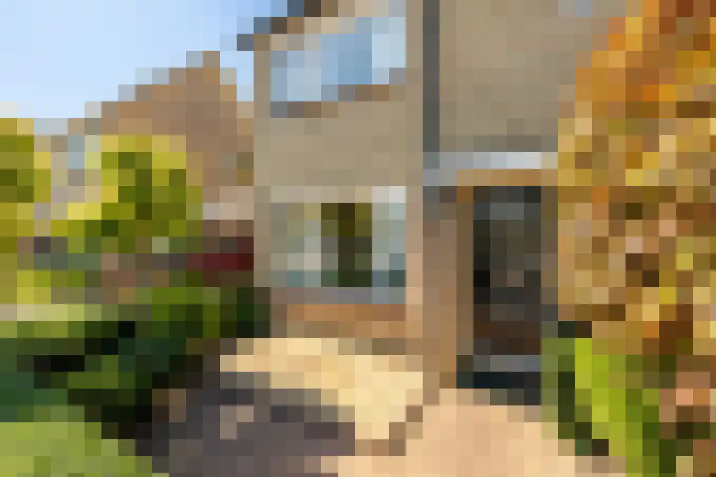 Koen Rozendaalstraat 3 Middenbeemster thumbnail 6