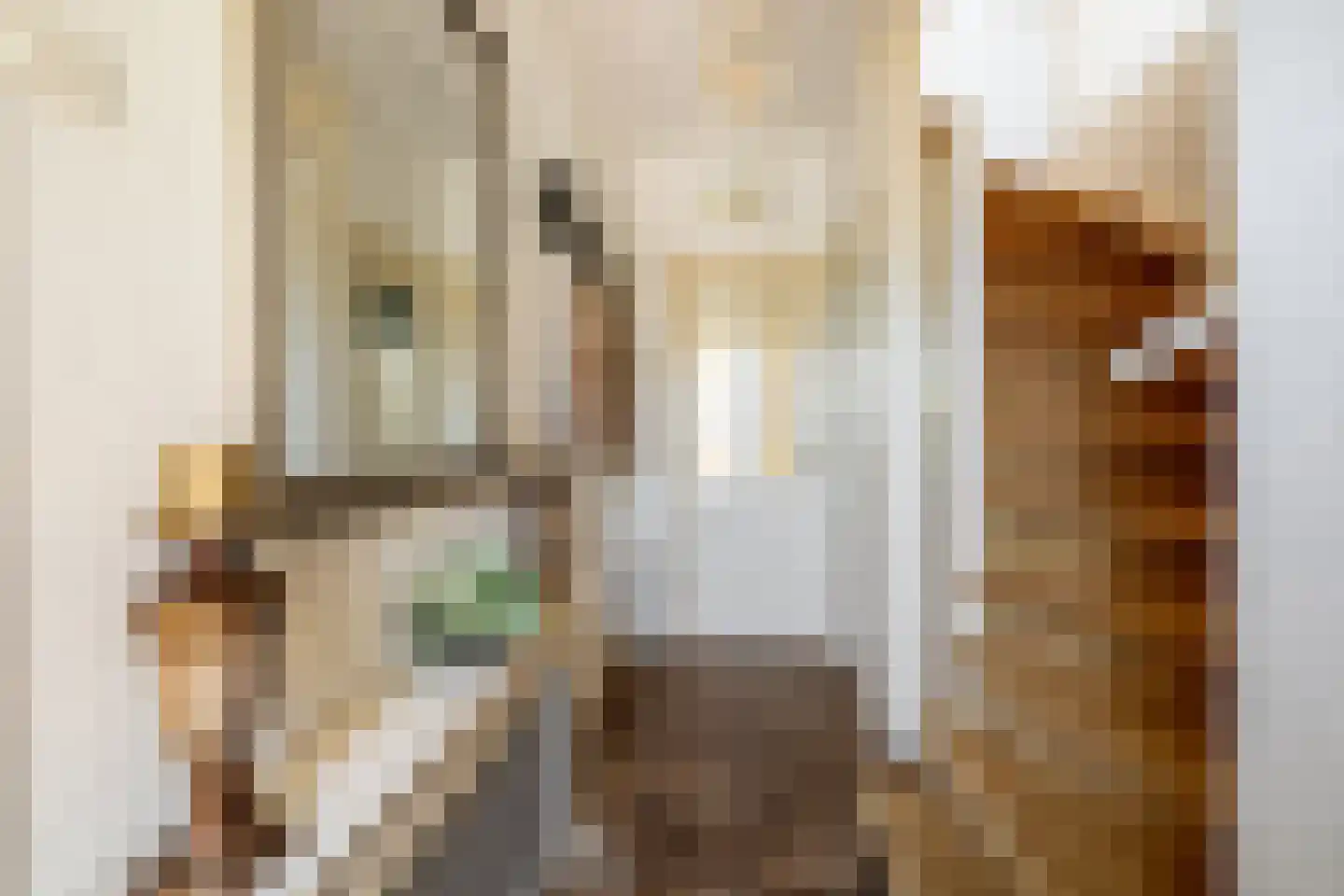 Koen Rozendaalstraat 3 Middenbeemster thumbnail 7