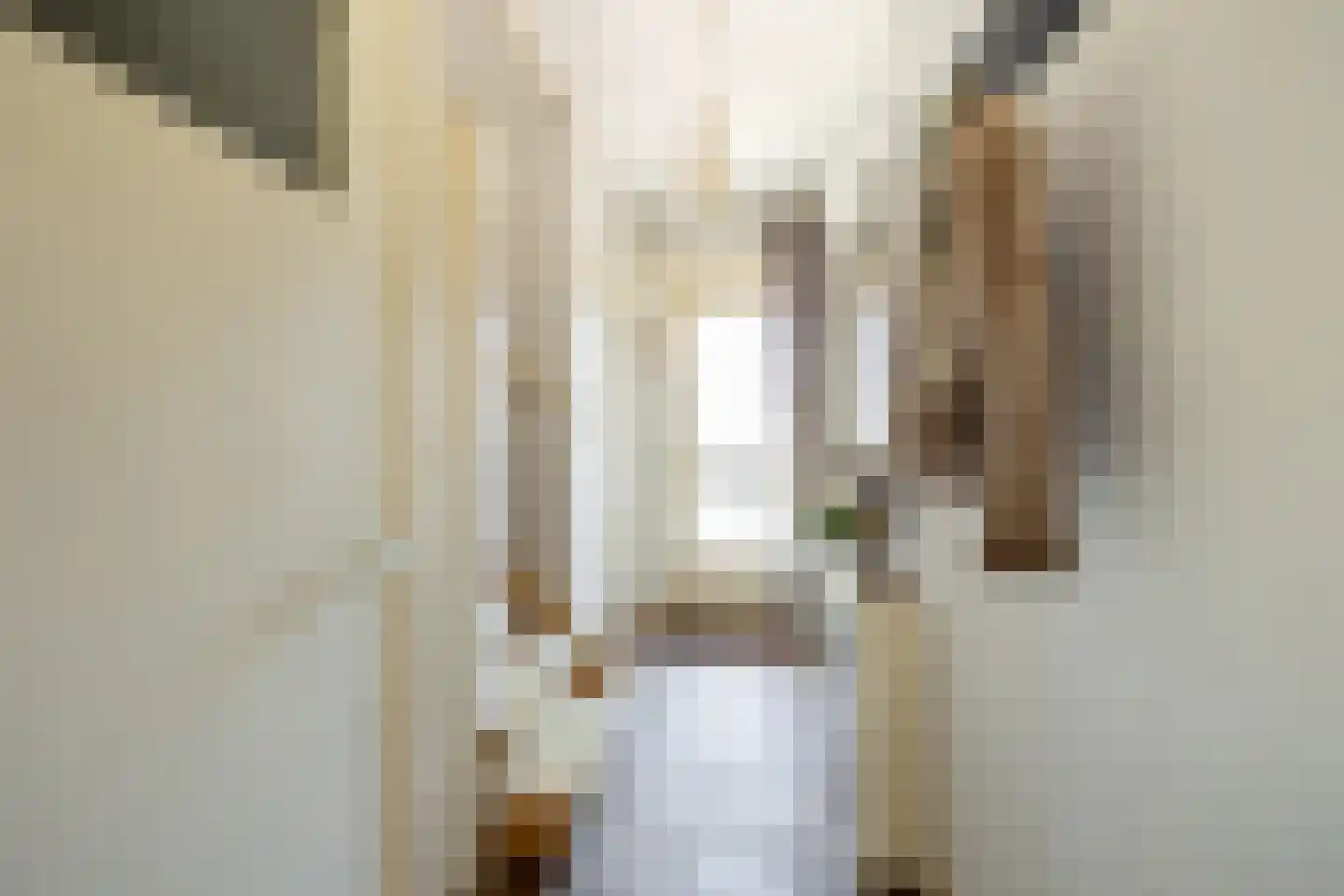 Koen Rozendaalstraat 3 Middenbeemster thumbnail 9