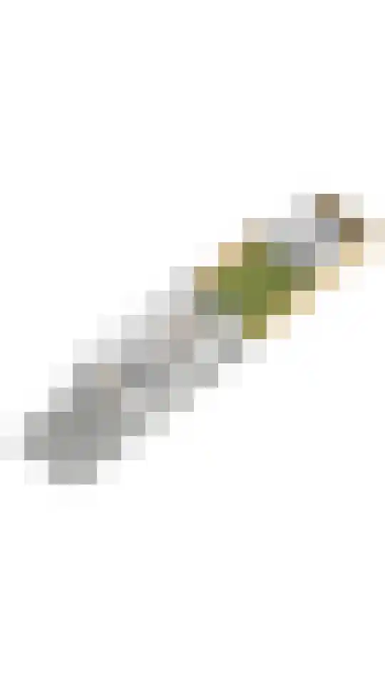 Koen van Oosterwijklaan 47 Amstelveen thumbnail 13