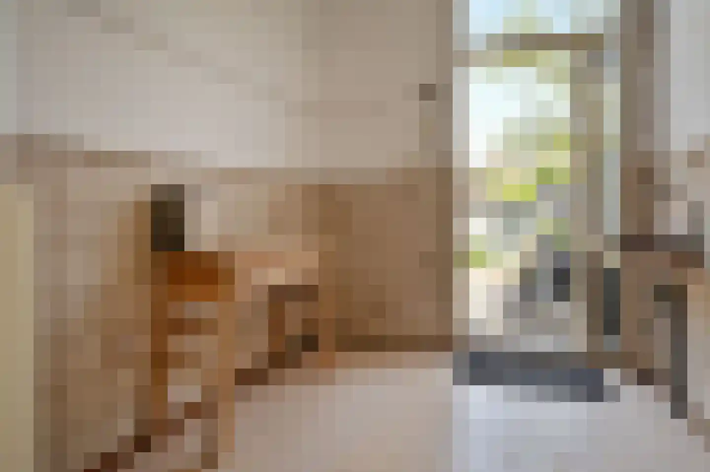 Koen van Oosterwijklaan 48 Amstelveen thumbnail 13
