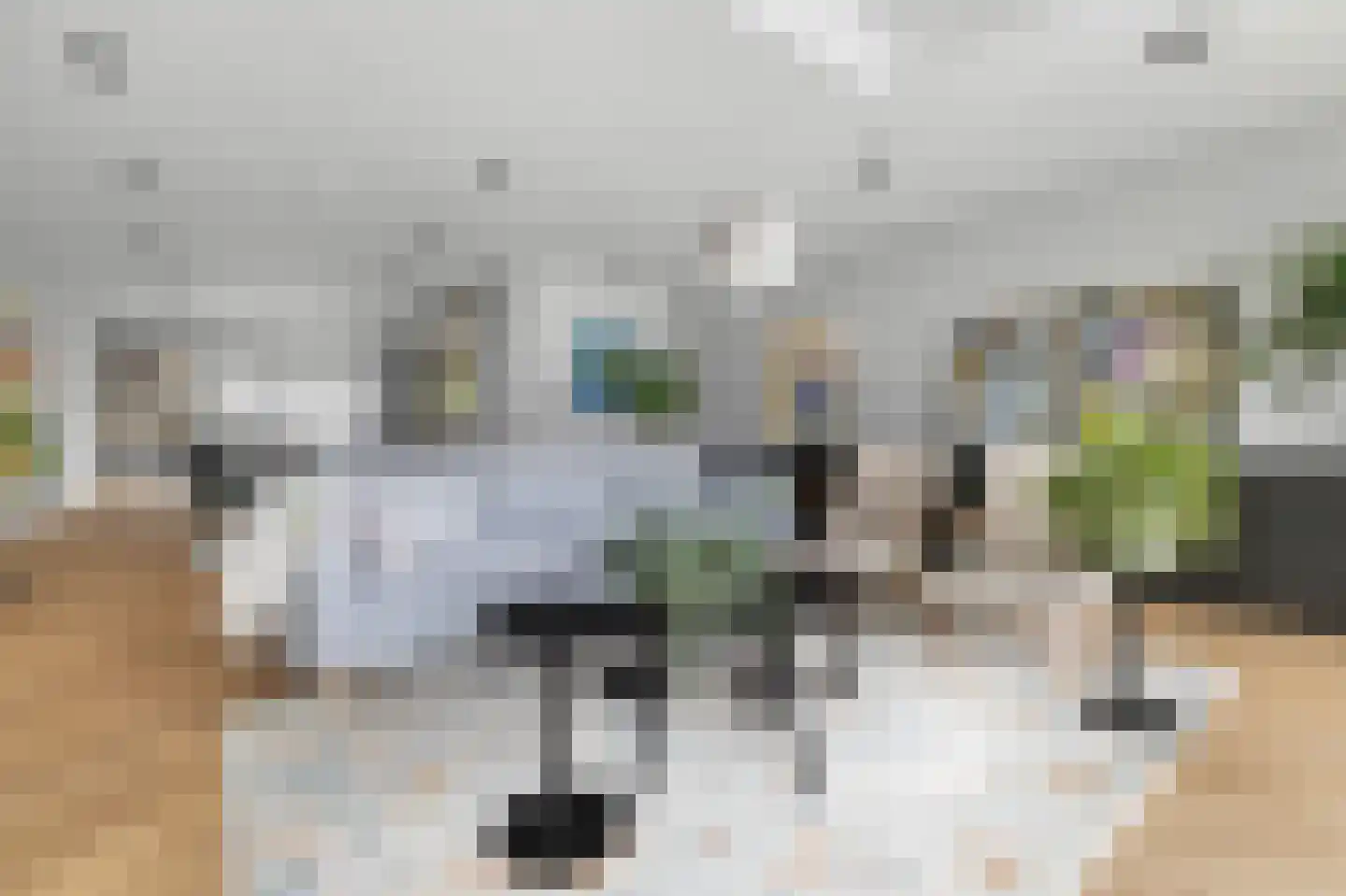 Koen van Oosterwijklaan 9 Amstelveen thumbnail 9