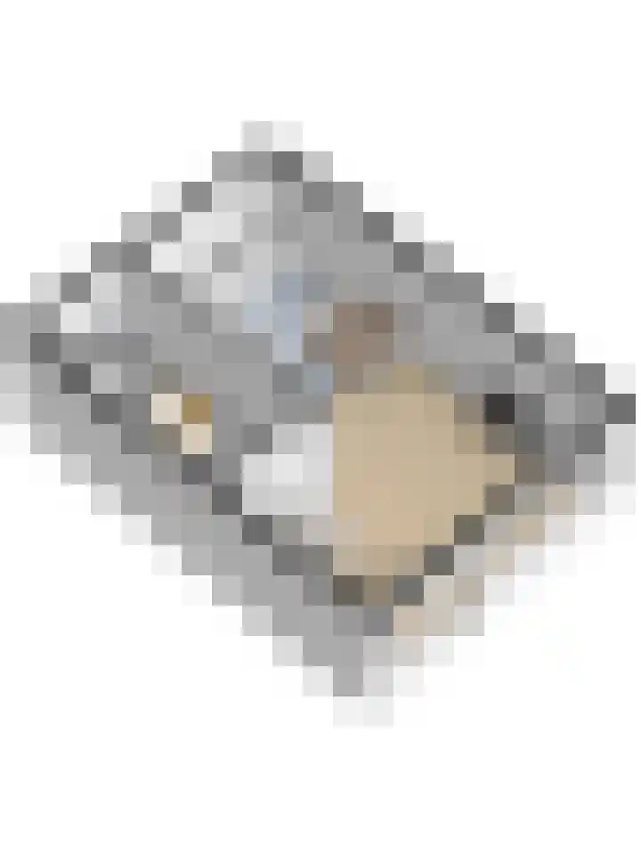 Koenderinklanden 16 Enschede thumbnail 36