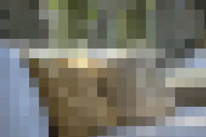 Koenderinklanden 22 Enschede thumbnail 22