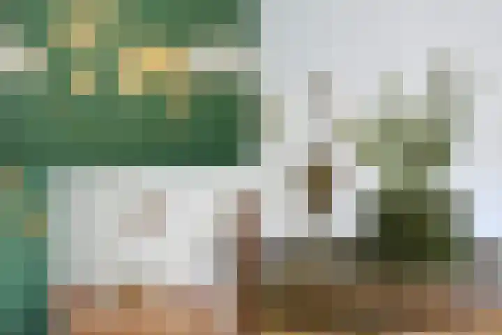 Koenderinklanden 22 Enschede thumbnail 26