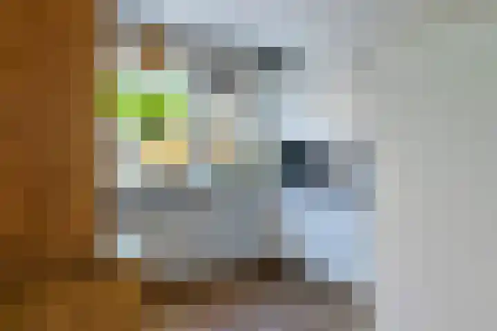 Koenderinklanden 22 Enschede thumbnail 27