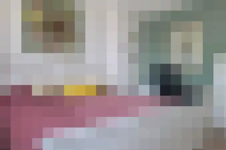 Koenderinklanden 22 Enschede thumbnail 44