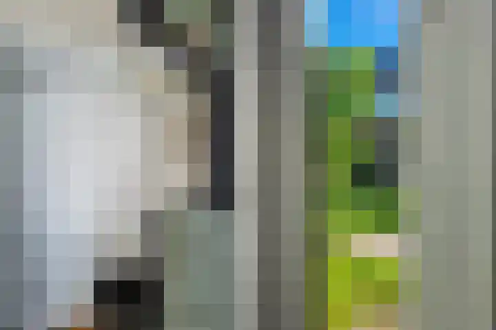 Koenderinklanden 22 Enschede thumbnail 73