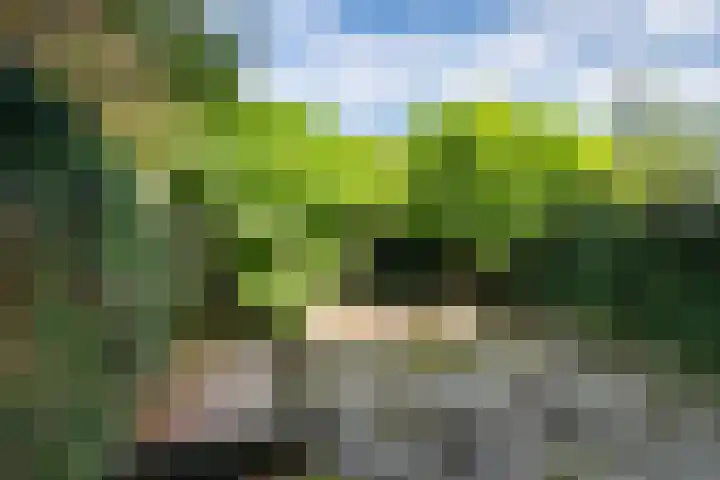 Koenderinklanden 28 Enschede thumbnail 34
